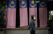 Malezya bayrakları