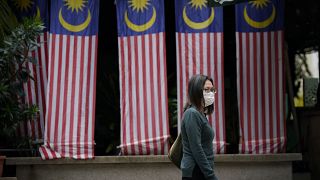 Malezya bayrakları