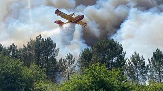 Cette photo fournie par les pompiers de la Gironde montre un Canadair luttant contre le feu près de La Teste-de-Buch, dans le sud-ouest de la France, samedi 16 juillet 2022.