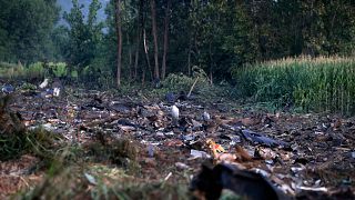 Des débris de l'avion cargo Antonov dans le village de Paleochori dans le nord de la Grèce, dimanche 17 juillet 2022,