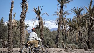 Maroc : les oasis menacées par le changement climatique