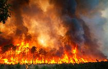 L'incendie près de Landiras, dans le sud-ouest de la France, samedi 16 juillet 2022 .