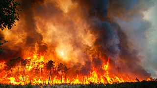 L'incendie près de Landiras, dans le sud-ouest de la France, samedi 16 juillet 2022 .