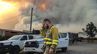 Egy tűzoltó sír egy erdőtűz közelében az északnyugat-spanyolországi Losacio térségében 2022\. július 17-én, vasárnap.