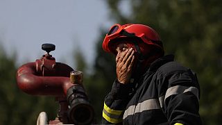Erschöpfter Feuerwehrmann nahe Louchats in der Gironde im Südwesten Frankreichs (17.7.2022)