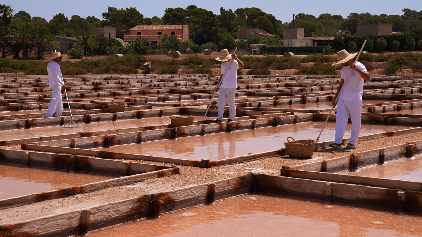 Ditale di palma in metallo e ago da cucito realizzato in Spagna / ditale a  mano Tradizionalmente utilizzato per cucire a mano espadrillas e vele di  barche -  Italia