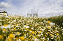La centrale nucleare di Temelin, vicino alla città di Tyn nad Vltavou, Repubblica Ceca.