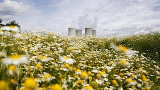 Smoke rises from cooling towers of the nuclear power plant Temelin near the town of Tyn nad Vltavou, Czech Republic
