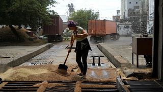 Mulher varre cereais depois de vários camiões descarregarem cereais colhidos num elevador de cereais em Melitopol, sul da Ucrânia, a 14 de julho de 2022.