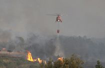 Firefighters battle forest fire in France's southwestern Gironde region