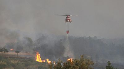 Firefighters battle forest fire in France's southwestern Gironde region