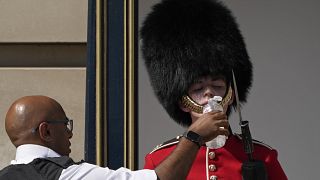 A londoni Buckingham palota őrét itatják július 18-án. Londonban aznap 40 Celsius fokot mértek.