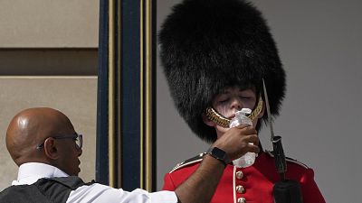 A londoni Buckingham palota őrét itatják július 18-án. Londonban aznap 40 Celsius fokot mértek.