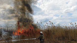 Die Flammen wüten in Frankreich, Spanien und Portugal weiter