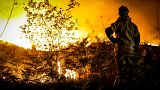 Un bombero se encuentra junto a un incendio forestal cerca de Landiras, en el suroeste de Francia, el lunes por la mañana, 18 de julio de 2022.