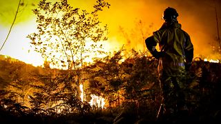 Un pompier face aux flammes en Gironde (19/07/2022)