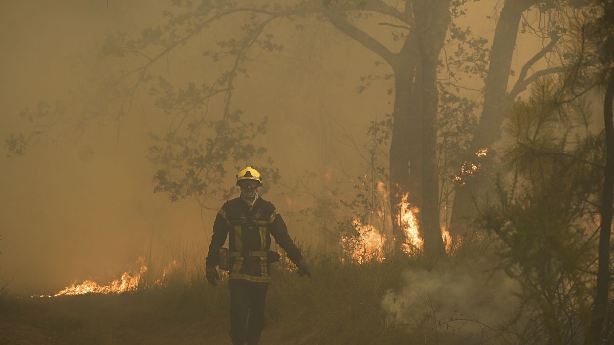رجل إطفاء يسير بين ألسنة اللهب في حريق غابة بالقرب من لوشاتس، على بعد 35 كيلومترًا من لانديراس في جيروند، جنوب غرب فرنسا، 18 يوليو ، 2022