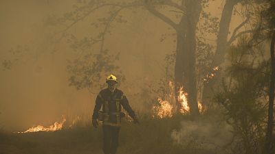 رجل إطفاء يسير بين ألسنة اللهب في حريق غابة بالقرب من لوشاتس، على بعد 35 كيلومترًا من لانديراس في جيروند، جنوب غرب فرنسا، 18 يوليو ، 2022