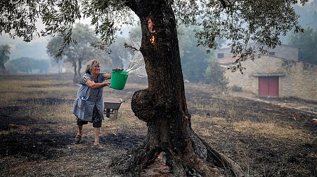 A resident uses a bucket of water to put out embers on olive trees in Ourem, Portugal.