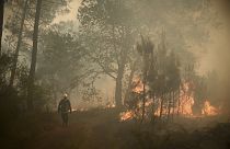 Пожарный в лесу департамента Жиронда