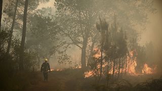 Пожарный в лесу департамента Жиронда