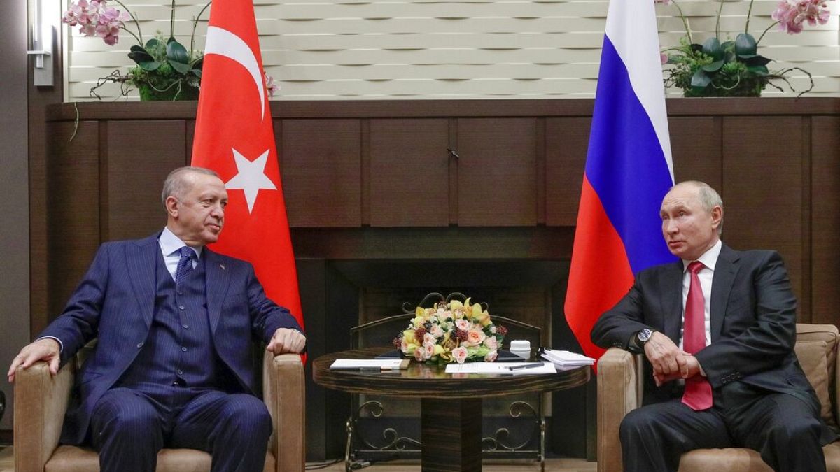 Οι πρόεδροι της Τουρκίας και της Ρωσίας, Ρετζέπ Ταγίπ Ερντογάν και Βλαντίμιρ Πούτιν