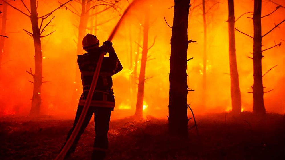 España se va al carajo: 60.000 hectáreas de bosque destruidas en una semana