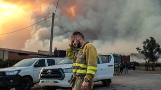 İspanya'nın kuzey batısındaki Losacio bölgesinde çıkan orman yangınının yakınında ağlayan bir itfaiyeci.
