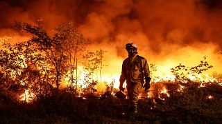 Tactical firefighters (wearing yellow gear) set a backfire to a plot of land to prevent the wildfire from spreading in Louchats, south-western France, on July 17, 2022.