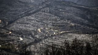 В Испании пожары уничтожили уже более 25 тыс га леса