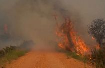 Incendi boschivi in Spagna