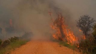 Több ezer hektáron tombolnak a lángok Európa-szerte