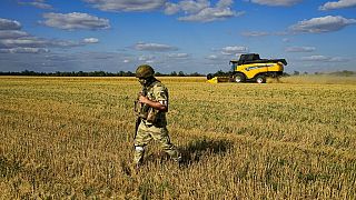 A Russian soldier guards an area of wheat during a visit by foreign journalists not far from Melitopol, south Ukraine, Thursday, July 14, 2022.