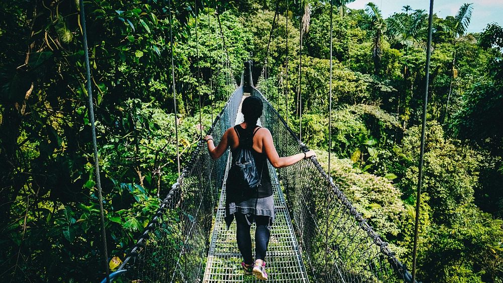 Costa Rica: los nómadas digitales ahora pueden postularse para trabajar de forma remota desde este paraíso tropical
