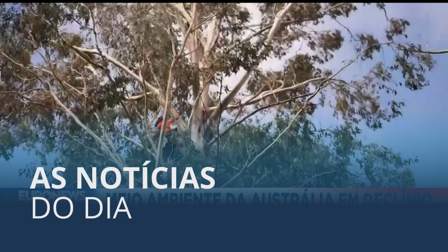 As notícias do dia | 19 Julho 2022 - Noite