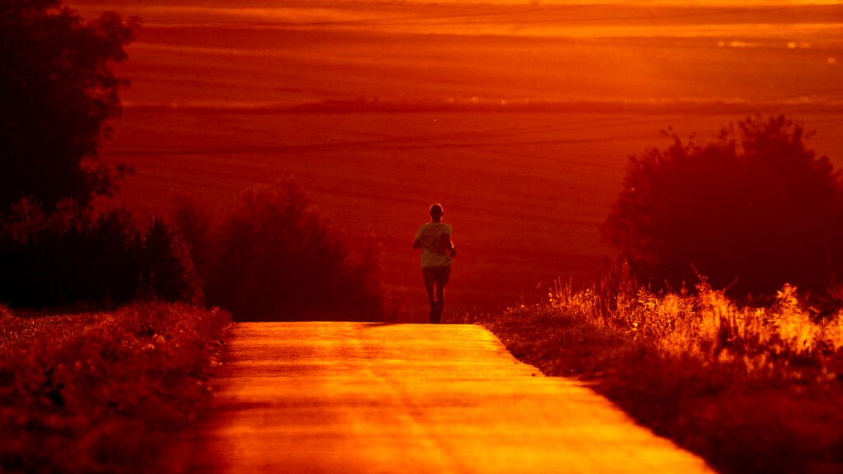 Un homme profite de la fraîcheur du matin pour courir près de Francfort, en Allemagne, (Juillet 2022)2