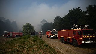 Пожары уничтожают лесной массив в Жиронде