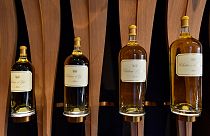 İspanya'da çalınan şaraplar arasında 310 bin euroluk 1806 Château d’Yquem de bulunuyor