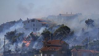Dans le quartier de Drafi, à l'Est d'Athènes, l'incendie faisait rage à côté de certaines habitations.