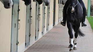 The incident occurred at a riding school near Rennes in northwestern France.