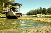 Feeling the heat: the cost of Italy's worst drought in decades