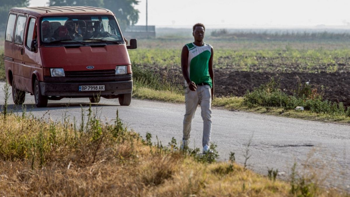  'No rights' for some 10,000 migrant farm workers in Italy, says ANCI