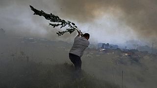Vecinos tratan de apagar las llamas en uno de los incendios que vive Europa