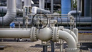 Rusya'dan Avrupa'ya doğal gaz akışı yeniden başladı