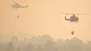 Waldbrände halten Feuerwehrleute in ganz Europa in Atem
