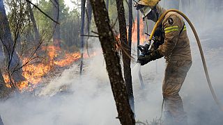 Serra da Estrela adlı dağlık bölgede önceki haftadan bu yana devam eden orman yangınları 17 bin hektarlık alanı kül etti