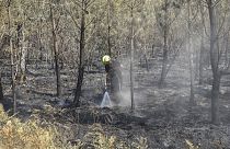 De nombreux incendies sont encore en cours en Europe, le 22 juillet 2022.