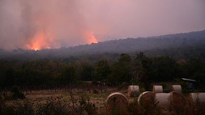  Waldbrände in der Nähe des Dorfes Novelo