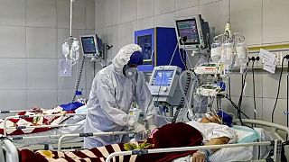 افزایش شمار مبتلایان به کرونا در ایران هم زمان با افزایش شمار مبتلایان به تب کریمه کنگو
