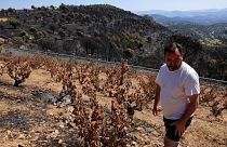 Jesus Soto in his fire scorched vineyards in Spain